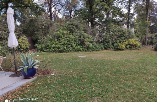 Schloßchemnitz Apartment | Vacation in a quiet villa, large parks nearby, close to the city