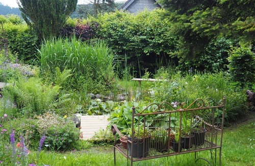 Bergneustadt Apartment | Vacation in the nature garden - apartment/apartment, shower or bath, WC, 1 bedroom