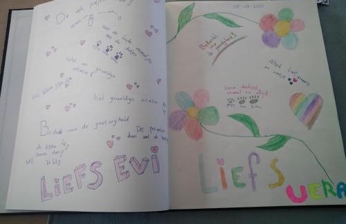 Boekhout House | Vakantiewoning Mierzicht met privé wellness Haspengouw