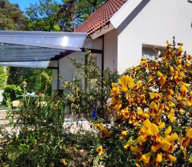 Beerze House | Vakantiewoning Zwaluw Beerze