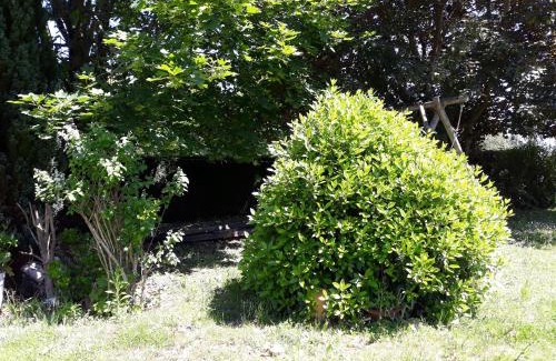 Parigne-lʼEveque Bed & Breakfast | Valérie GOUFFÉ Chambres d'hotes