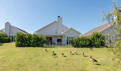 Cape Winelands House | Val de Vie
