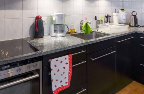 Ormont-Dessus Apartment | Val Neige Apt. 12 by Interhome