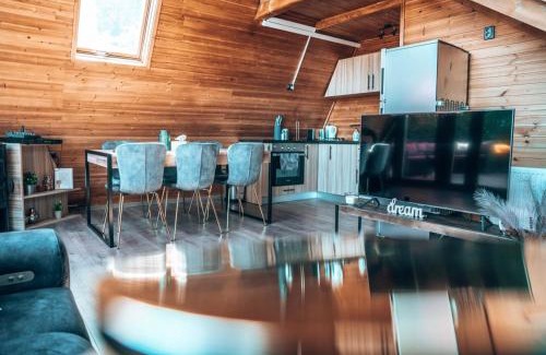 Cisnadie Ski Chalet | Valdo Cabin