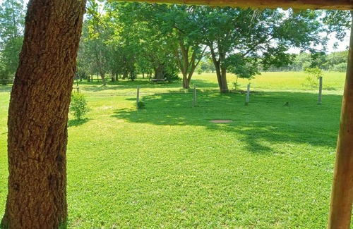 Bela-Bela Apartment | Valencia 7 C