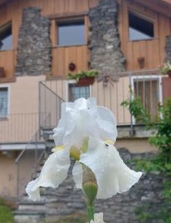 Aymavilles House | Valle D'Aosta a 360° - Ideal for smart working