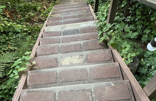 Vashon Island Cabin | Vashon-Maury cozy cabin by the water