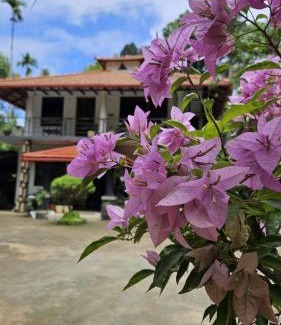 Madikeri House | Vasu estate stay