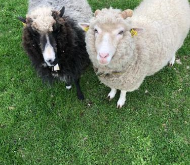 Elva Other | Vedru Puhketalu