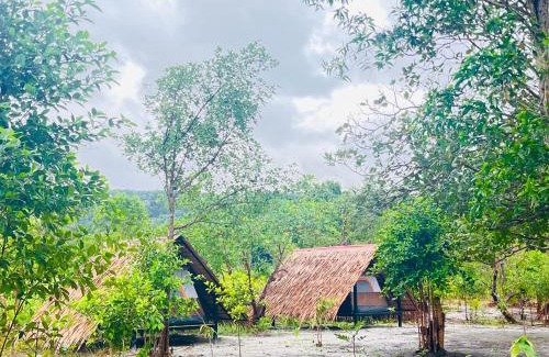 Koh Rong Other | Veha Koh Rong