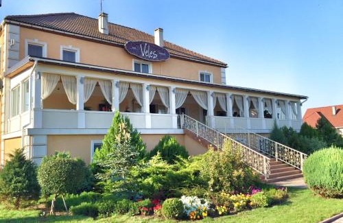 Vapnyarka Hotel | Veles Hotel