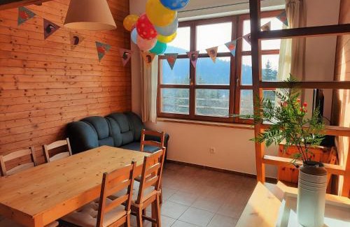 Cerny Dul Apartment | Velký apartmán Cihlarka