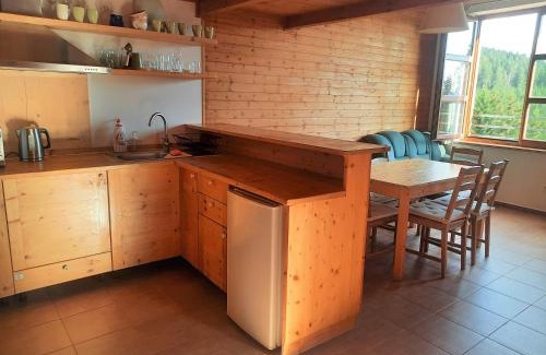 Cerny Dul Apartment | Velký apartmán Cihlarka