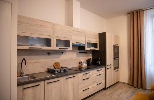 Hradec Kralove Apartment | Velký byt 3+kk Klicperova, 2 ložnice