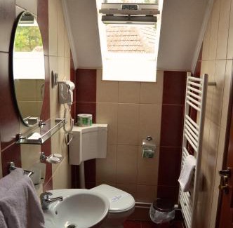 Sighisoara House | Venesis House