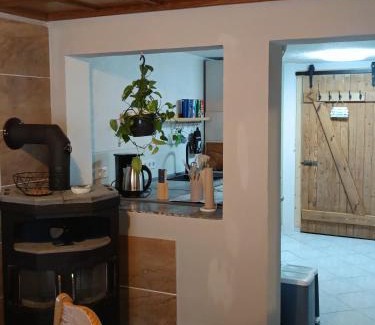 Wesenberg Apartment | Veronika