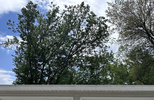 Lake Geneva House | Very short walk to beach, restaurants and nightlife. 5 BR 3.5 BA sleeps 12.