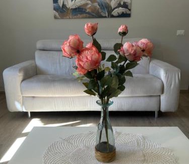 Isola del Liri Apartment | Viale Apartment
