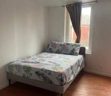 Avesnes-sur-Helpe Apartment | Victor Hugo