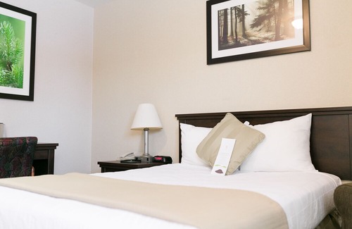 Flin Flon Hotel | Victoria Inn Flin Flon