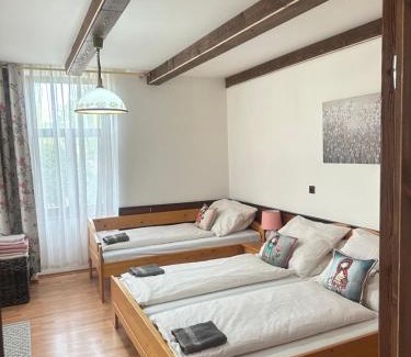 Liptovsky Mikulas House | Vidiecky dom AlexSandra - ubytovanie v súkromí