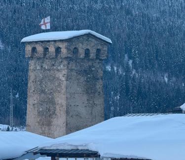Bagvdanari House | View House