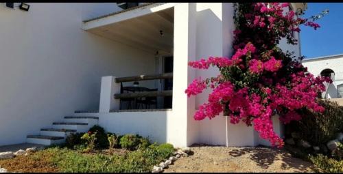 St. Helena Bay Apartment | View on the Bay