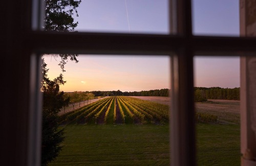 Espiens Cottage | Vignes Cottage - Château de Mazelières
