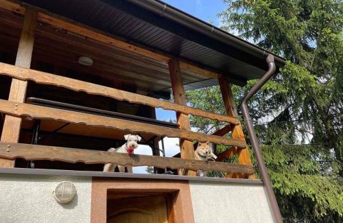 Divcibare House | Vikendica Boki i Maki