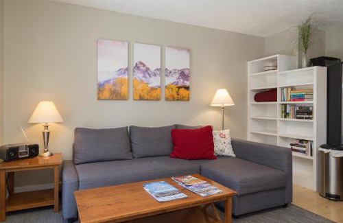 Telluride Apartment | Viking Lodge 109 - Viking Venue