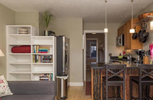 Telluride Apartment | Viking Lodge 109 - Viking Venue
