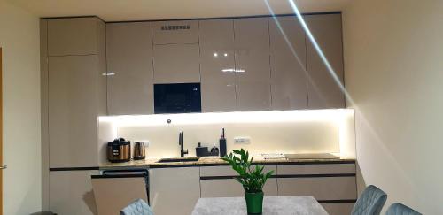 Smichov Apartment | Vikys Apartment