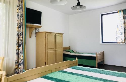 Viisoara House | Vila Blanca