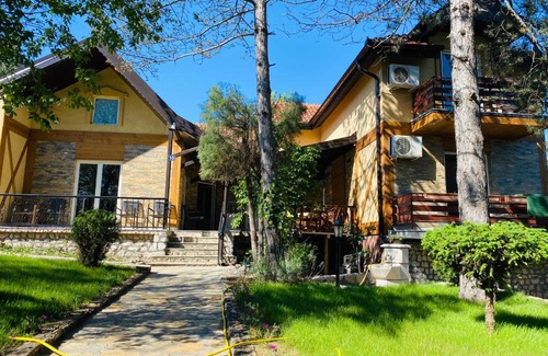 Veliko Gradiste House | VILA BOROVA 1
