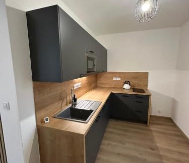 Ceske Budejovice Apartment | Vila Fráňa apartmán 4