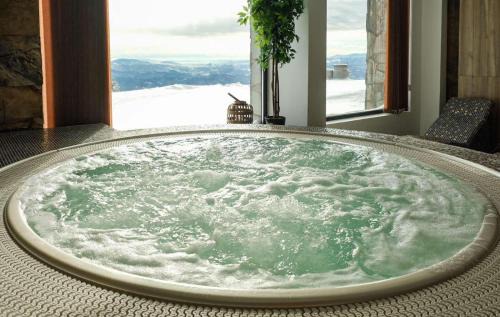 Kopaonik Apartment | Vila Golija VM Apartment