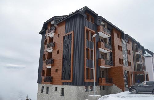 Kopaonik Apartment | Vila Golija VM Apartment