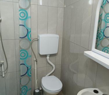 Negotin Villa | Vila Jovana