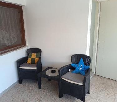 Negotin Villa | Vila Jovana