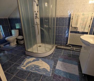 Rimetea House | Vila lui Simion