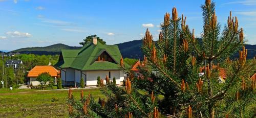 Divcibare Villa | Vila Mirna Divčibare