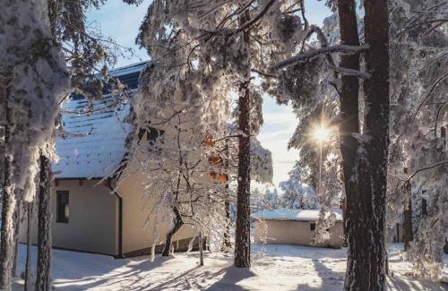 Divcibare Villa | Vila Nadežda Divčibare