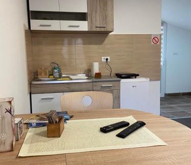 Stara Planina Apartment | Vila Nika