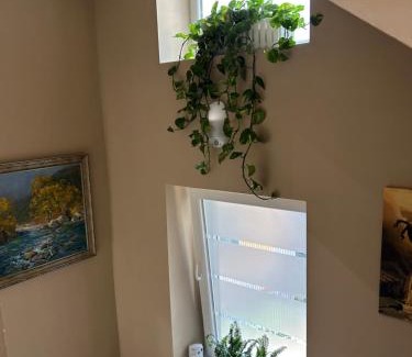 Tirana Hotel | Vila Panto