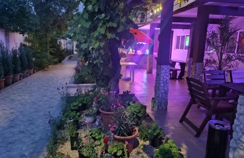 Costinesti House | Vila Popoiu