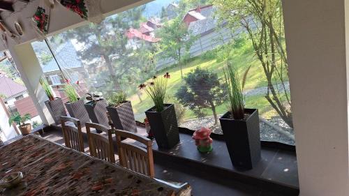 Borsa Villa | Vila vio