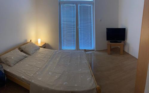 Veliko Gradiste Apartment | Vila ViV Srebrno Jezero