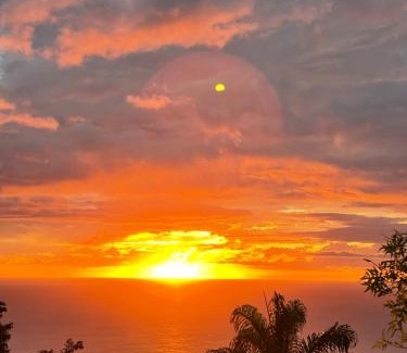 Pointe-Noire Villa | Villa Ô Perchée, Vue Mer Panoramique et Piscine Privée