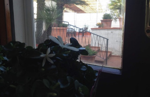 Castellammare di Stabia Villa | Villa Arcoiris "balcony on the sea"