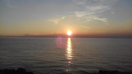 Pjescana Uvala Apartment | Villa Alexandra